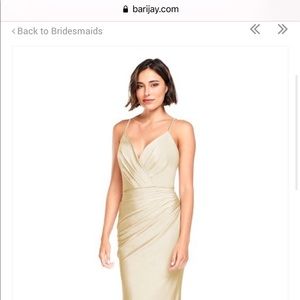 Bari Jay Champagne Dress size SMALL